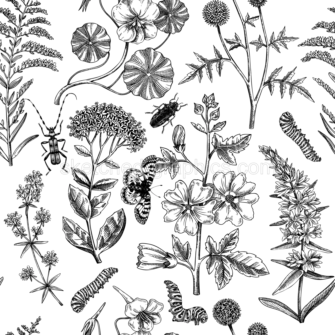 Hand drawn summer background. Garden flowering plants with insects design. Floral seamless pattern. Botanical illustrations for textile, fabric, packaging. Hibiscus, mallow, primrose, thistle sketches Illustration